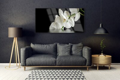 Plexisklo-obraz Orchidej ve Vodě Květiny