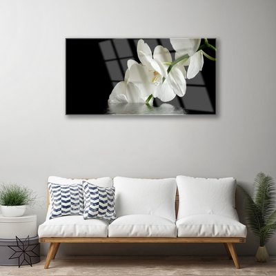 Plexisklo-obraz Orchidej ve Vodě Květiny