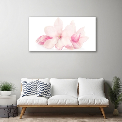 Plexisklo-obraz Květiny Plátky Rostlina Příroda