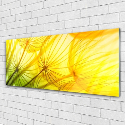 Plexisklo-obraz Pampelišky Květiny Příroda