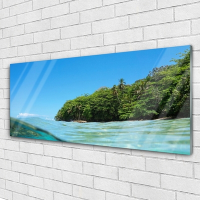 Plexisklo-obraz Moře Strom Krajina