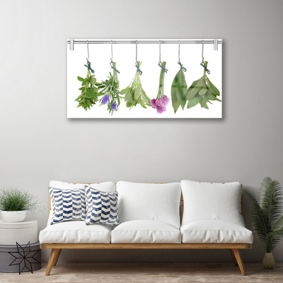 Plexisklo-obraz Sušené Byliny Listy Květiny