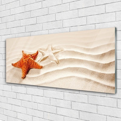 Plexisklo-obraz Hvězdice na Písku Pláž