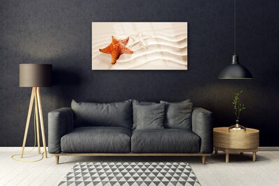 Plexisklo-obraz Hvězdice na Písku Pláž