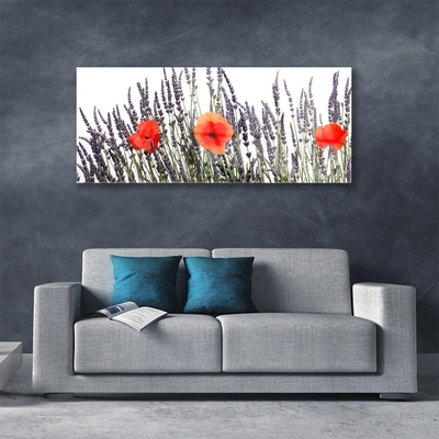 Plexisklo-obraz Květiny Máky Pole Trávy