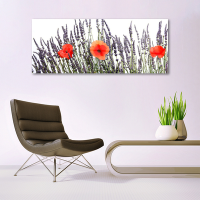 Plexisklo-obraz Květiny Máky Pole Trávy