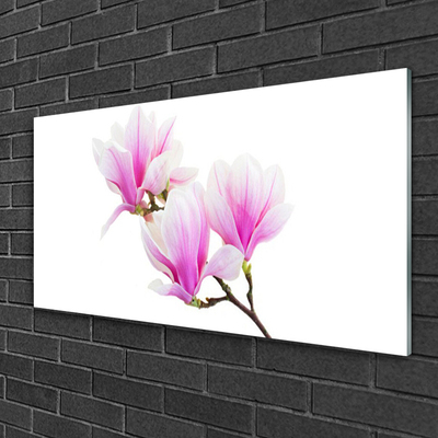 Plexisklo-obraz Květiny Rostlina Příroda