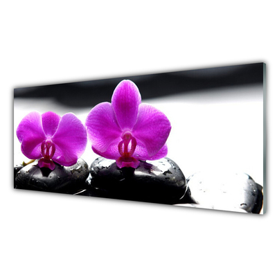 Plexisklo-obraz Květiny Kameny Zen Lázně