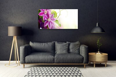 Plexisklo-obraz Květiny Příroda