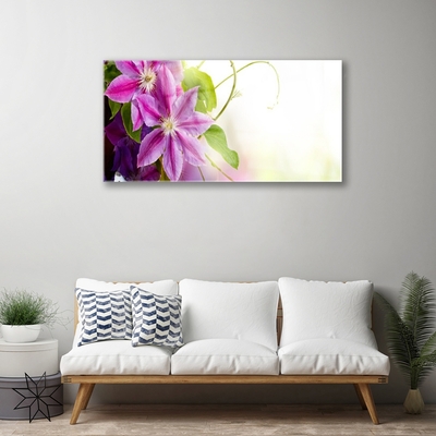 Plexisklo-obraz Květiny Příroda