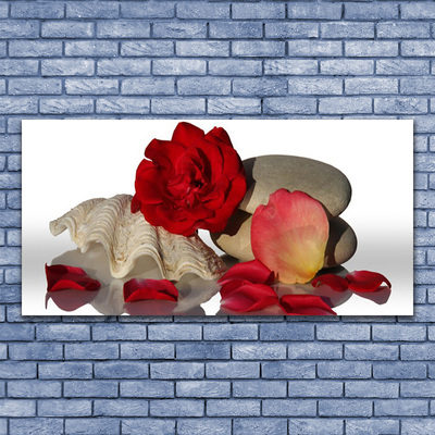 Plexisklo-obraz Růže Plátky Mrtvá Příroda