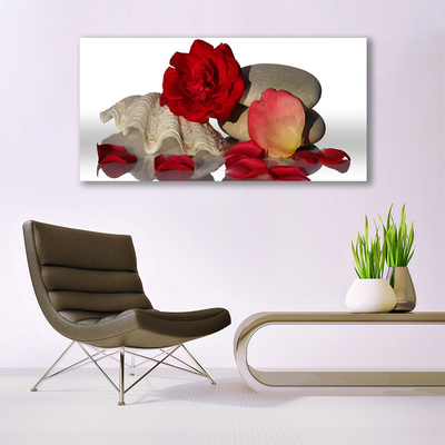 Plexisklo-obraz Růže Plátky Mrtvá Příroda
