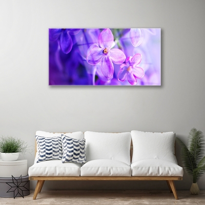 Plexisklo-obraz Fialové Květiny Příroda