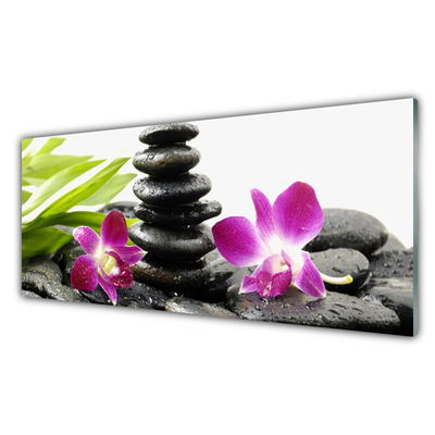 Plexisklo-obraz Kameny Zen Lázně Orchidej