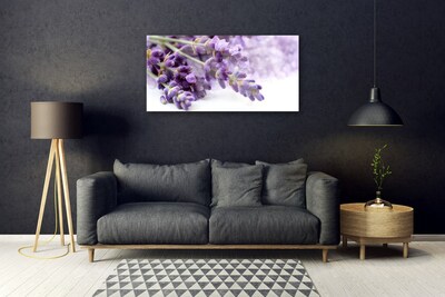 Plexisklo-obraz Květiny Příroda Rostlina