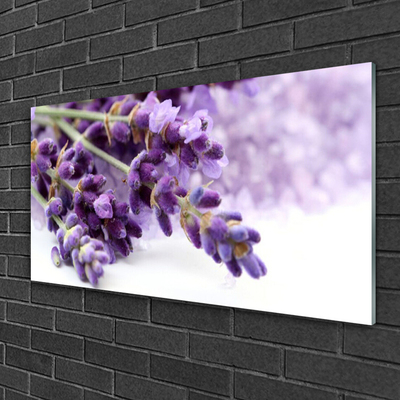 Plexisklo-obraz Květiny Příroda Rostlina