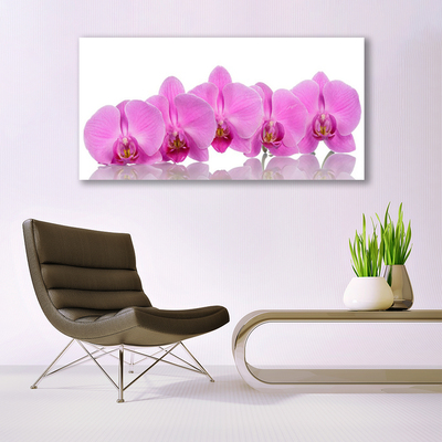 Plexisklo-obraz Růžová Orchidej Květiny