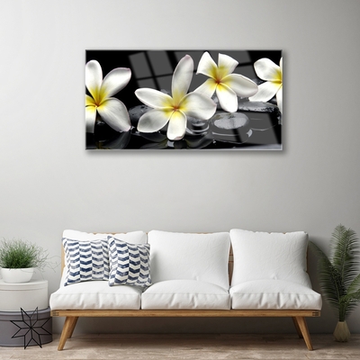 Plexisklo-obraz Kameny Květiny Lázně