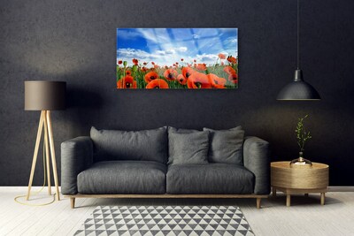 Plexisklo-obraz Louka Máky Květiny