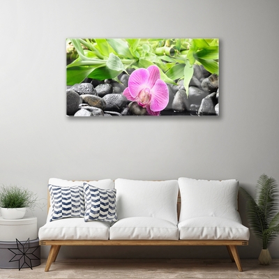 Plexisklo-obraz Květiny Orchidej Kameny Zen