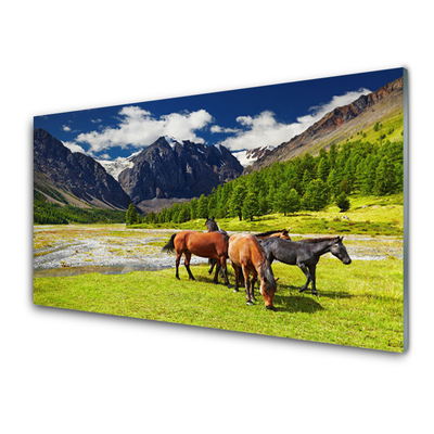 Plexisklo-obraz Hory Stromy Koně Zvířata
