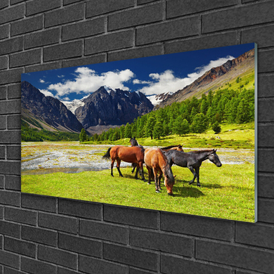 Plexisklo-obraz Hory Stromy Koně Zvířata