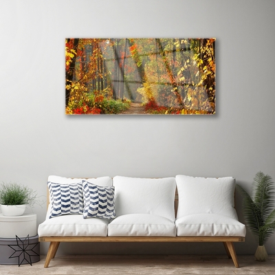 Plexisklo-obraz Les Příroda Podzim