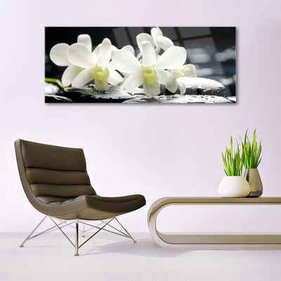 Plexisklo-obraz Kameny Květiny Orchidej