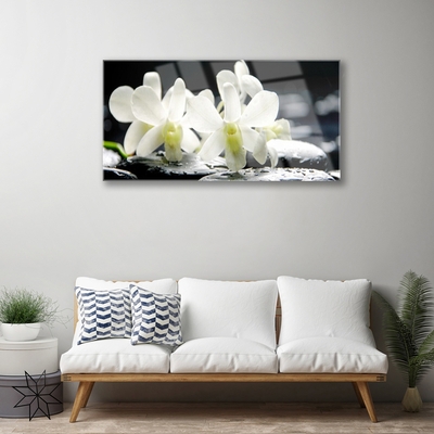Plexisklo-obraz Kameny Květiny Orchidej