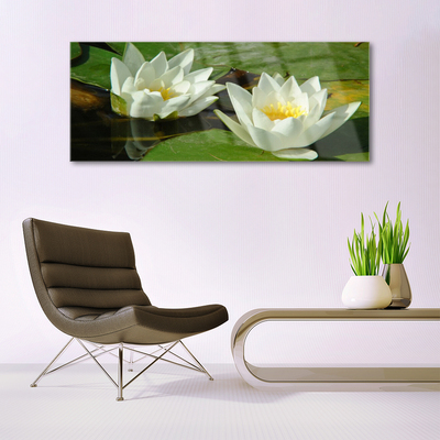 Plexisklo-obraz Květiny Rostliny Příroda