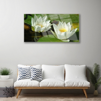 Plexisklo-obraz Květiny Rostliny Příroda