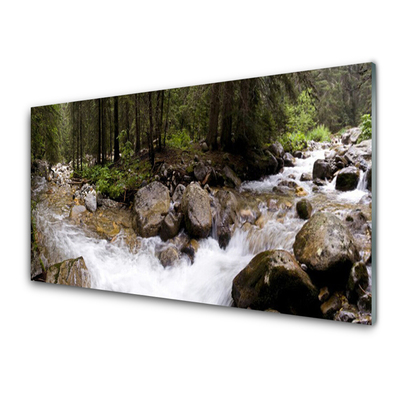 Plexisklo-obraz Les Řeka Vodopády