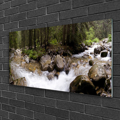 Plexisklo-obraz Les Řeka Vodopády