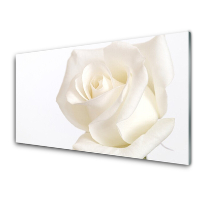 Plexisklo-obraz Růže Květiny