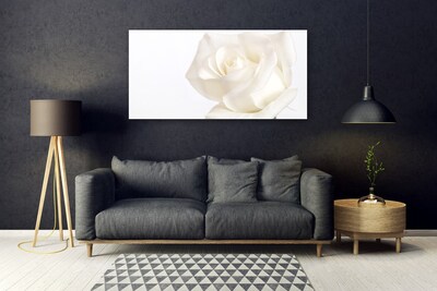 Plexisklo-obraz Růže Květiny