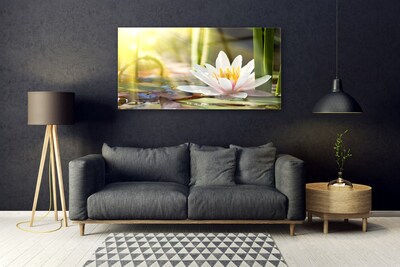 Plexisklo-obraz Květ Vodní Lilie