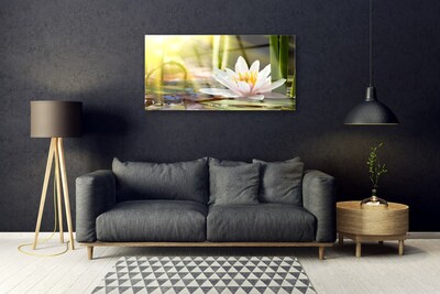 Plexisklo-obraz Květ Vodní Lilie