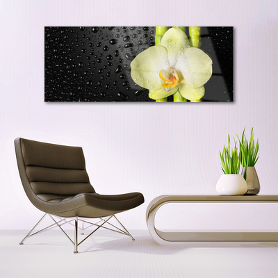Plexisklo-obraz Bambus Květ Orchidej