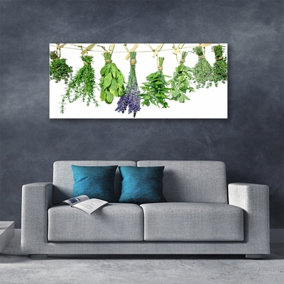 Plexisklo-obraz Plátky Květiny Byliny