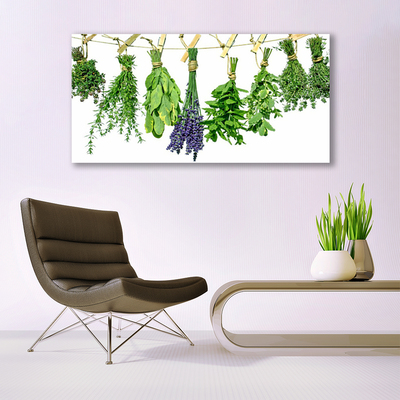 Plexisklo-obraz Plátky Květiny Byliny