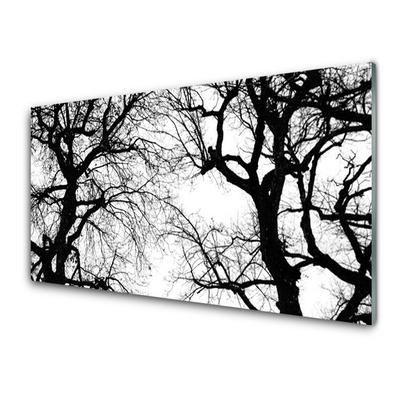 Plexisklo-obraz Stromy Příroda Černobílý