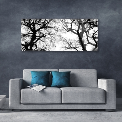 Plexisklo-obraz Stromy Příroda Černobílý