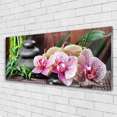 Plexisklo-obraz Bambus Kameny Zen Květiny