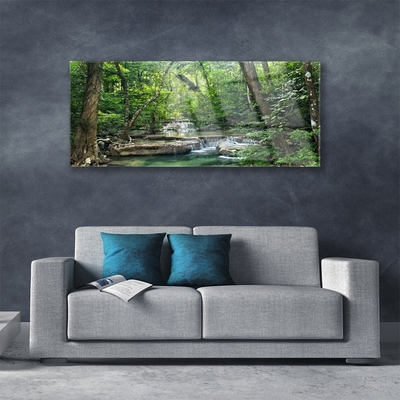Plexisklo-obraz Lesní Les Příroda