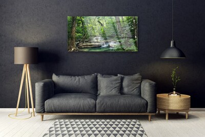 Plexisklo-obraz Lesní Les Příroda