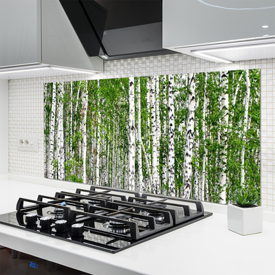 Kuchyňský skleněný panel Bříza Les Stromy Příroda