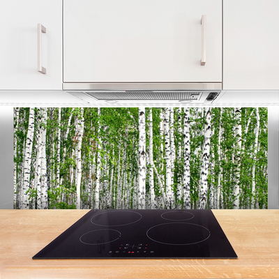 Kuchyňský skleněný panel Bříza Les Stromy Příroda