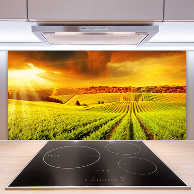 Kuchyňský skleněný panel Pole Západ Slunce Krajina