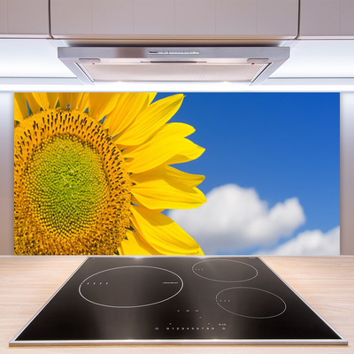 Kuchyňský skleněný panel Slunečnice Mraky