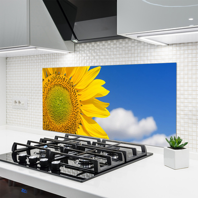 Kuchyňský skleněný panel Slunečnice Mraky